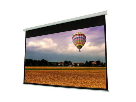 PROscreen Экран моторизованный MLE9110